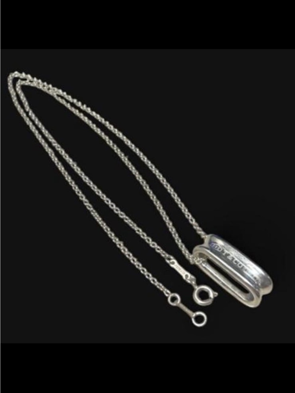 Tiffany & Co. Loop Pendant & Necklace
